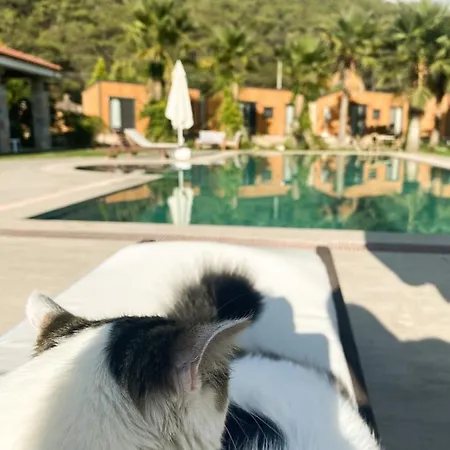 호텔 Riverside Gocek Apart *